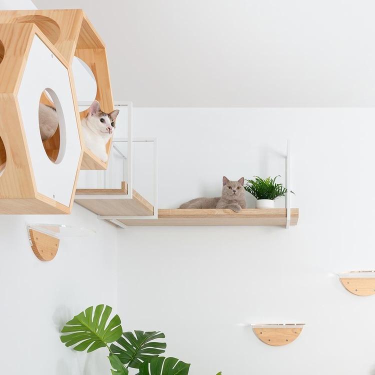キャットウォーク キャットステップ 猫用品 ペット用品 猫家具 猫ベッド 壁掛け 天井吊り下げ 猫 部屋 MYZOO AVENUE L MZ0054の画像