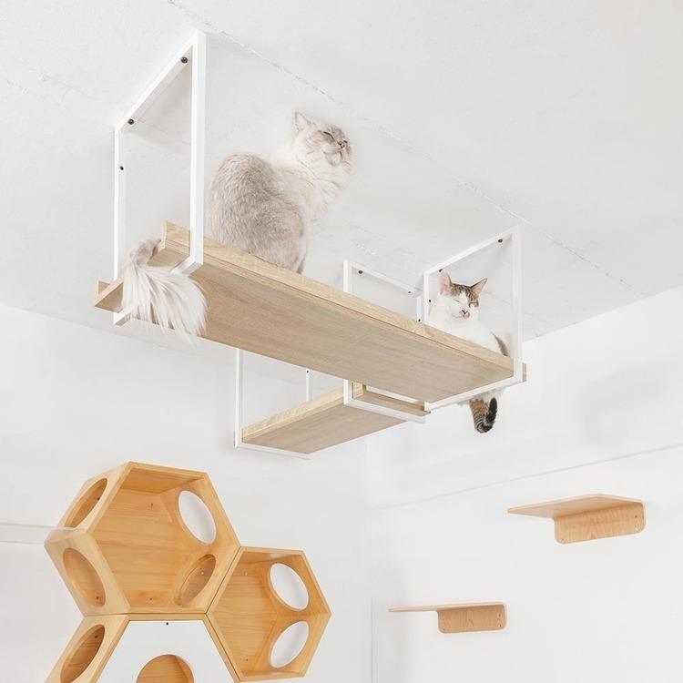 キャットウォーク キャットステップ 猫用品 ペット用品 猫家具 猫ベッド 壁掛け 天井吊り下げ 猫 部屋 MYZOO AVENUE L MZ0054の画像