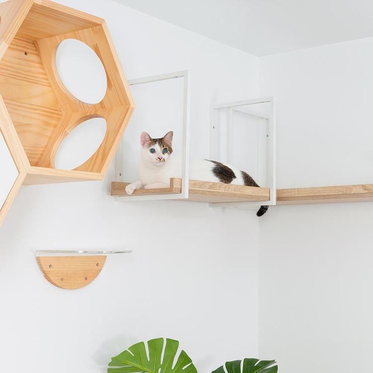 キャットウォーク キャットステップ 猫用品 ペット用品 猫家具 猫