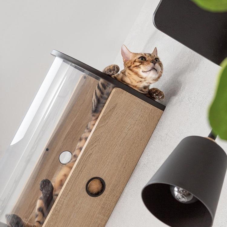 キャットウォーク キャットステップ トンネル 壁掛け 猫 透明 猫用品