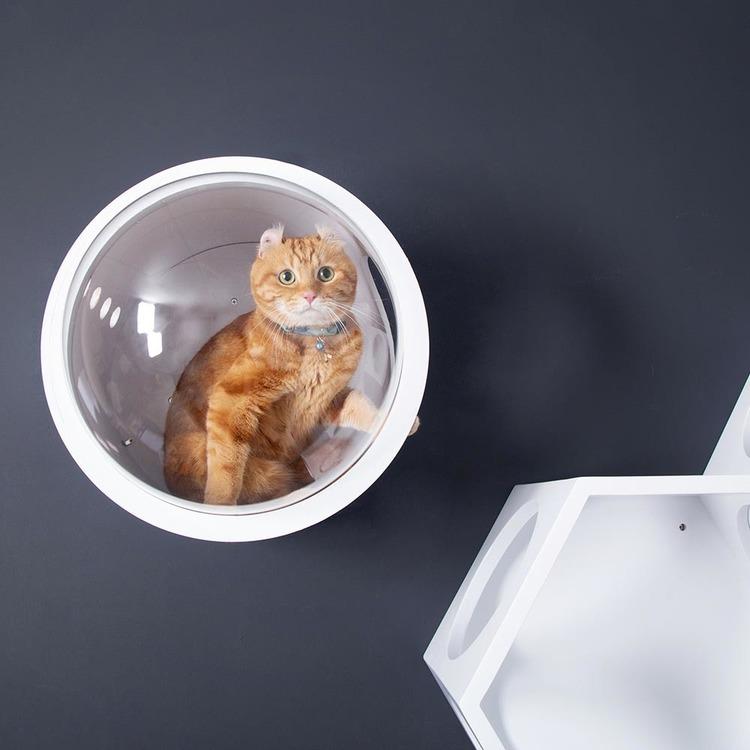 キャットウォーク キャットステップ 宇宙船 GAMMA 壁掛け ステップ 猫
