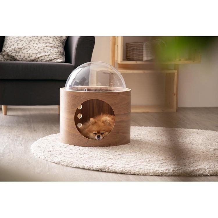 キャットウォーク キャットステップ 宇宙船 GAMMA 壁掛け ステップ 猫