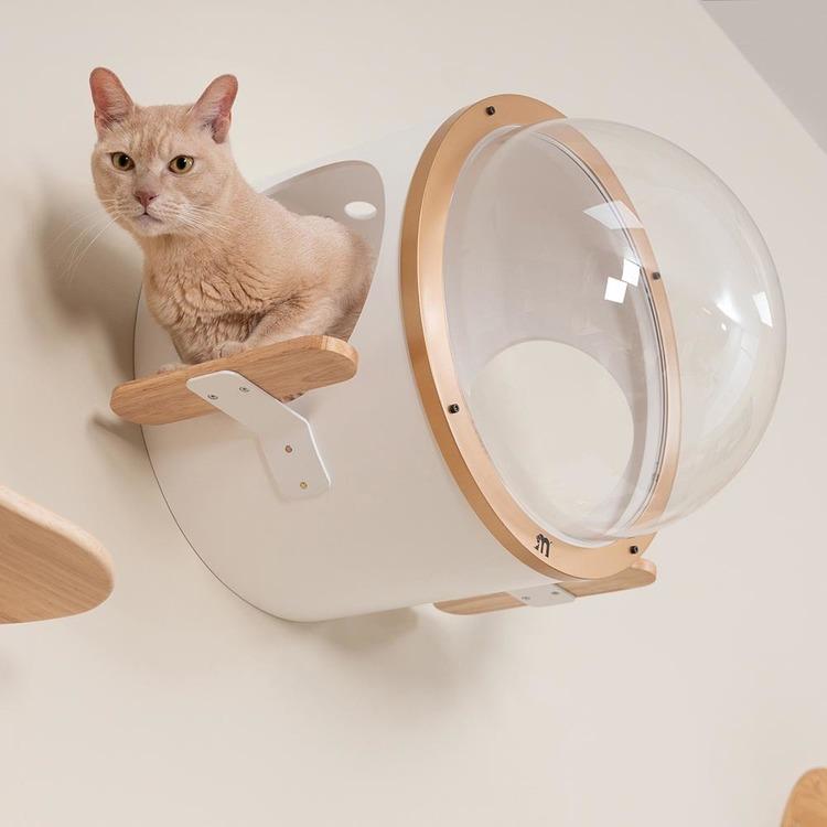 キャットウォーク キャットステップ 潜水艇 OCEANROVER 壁掛け