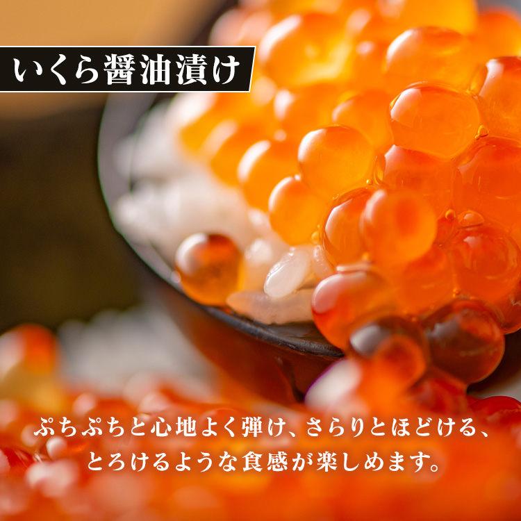 いくら 醤油漬け ほたて 貝柱 秋鮭 ぼたんえび たこ 刺身 セット
