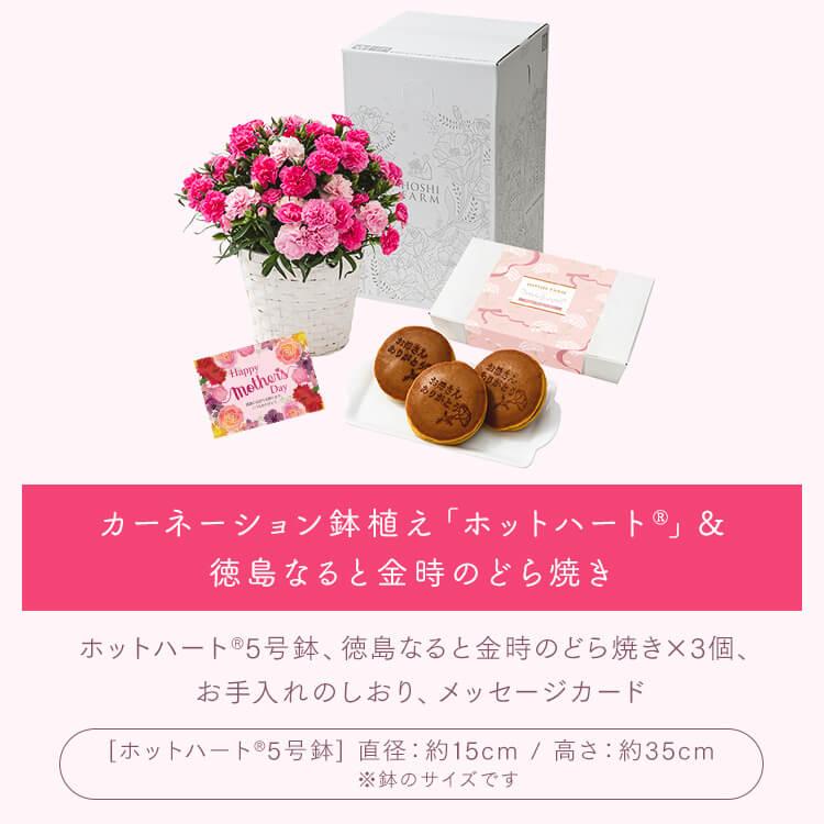 母の日 2026 花 ギフト 生花 カーネーション お菓子セット どら焼き