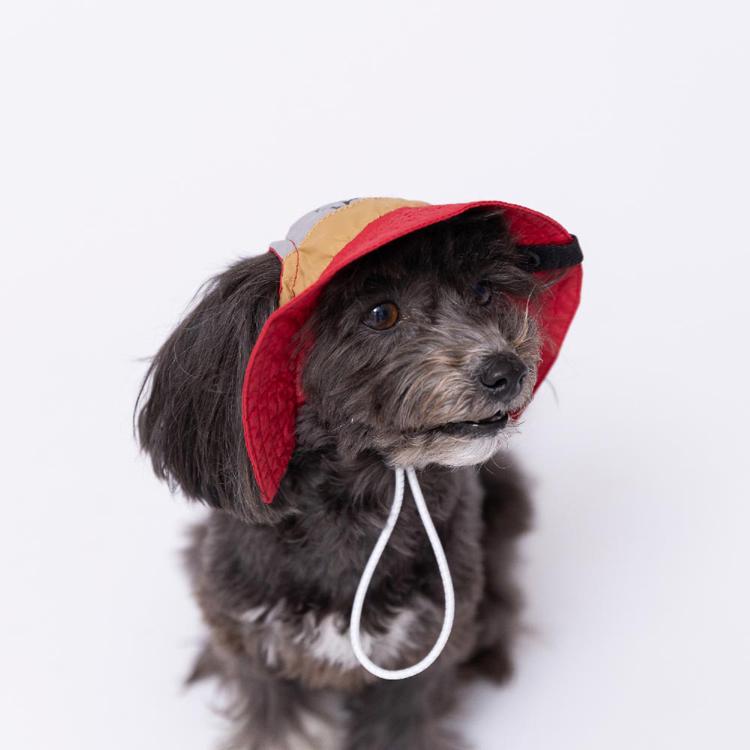 pipi 犬 帽子 夏 犬帽子 PiPi サファリハット Mサイズ おしゃれ 日除け