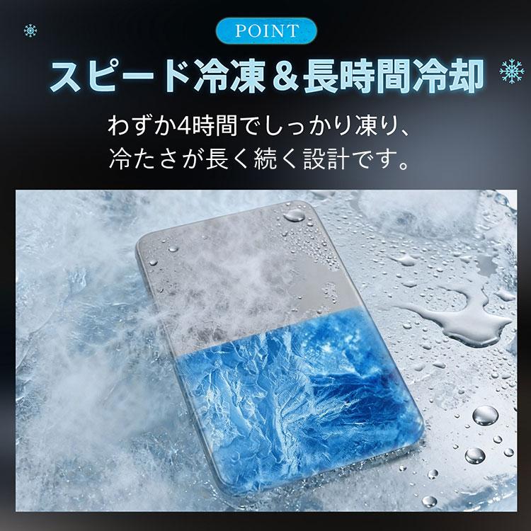 保冷剤 ステンレス保冷剤 保冷力 持続 軽量 アイスパック クーラーボックス 薄型 再利用 ステンレス保冷剤 kc001-ch-si |  | 08