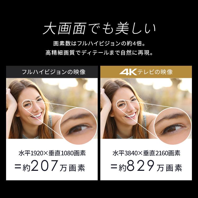 IRIS OHYAMA（アイリスオーヤマ） テレビ 液晶テレビ 65v 型 tv