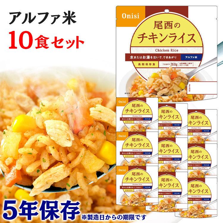 アルファ米 チキンライス50食 2030年4月期限 アルファ米炊き出しセット