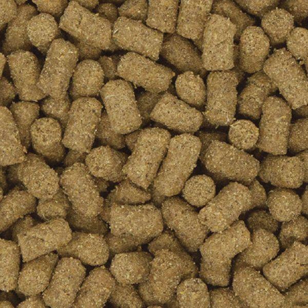 SELECTION フェレットフード フェレットセレクション シニア 3.5kg