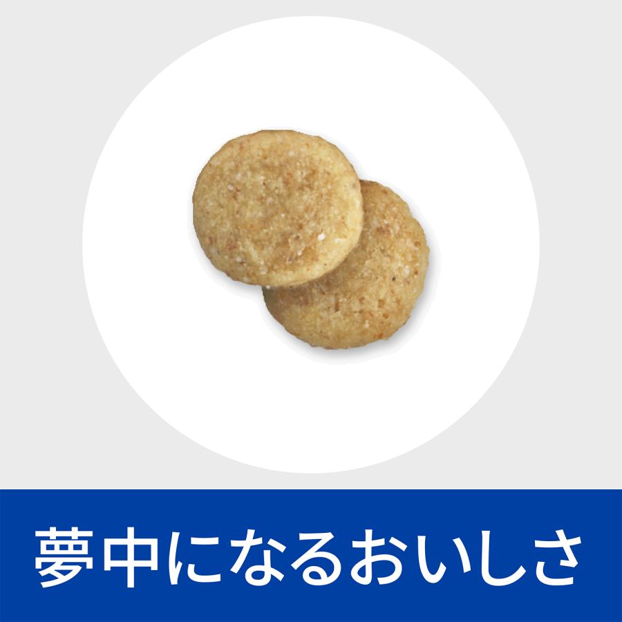 プリスクリプション・ダイエット ドッグフード 犬 フード ヒルズ 療法