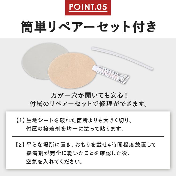 IRIS OHYAMA（アイリスオーヤマ） エアーベッド 電動 ダブル 防災