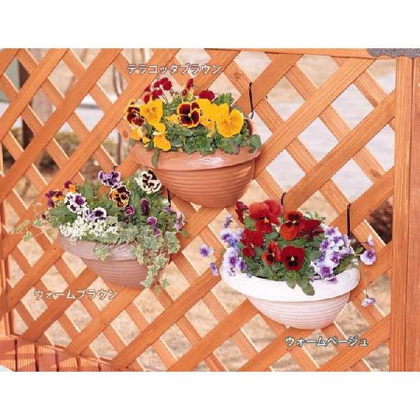 植木鉢 ウォールポット 壁掛け 幅25cm アイリスオーヤマ|アイリスプラザ PayPayモール店|01