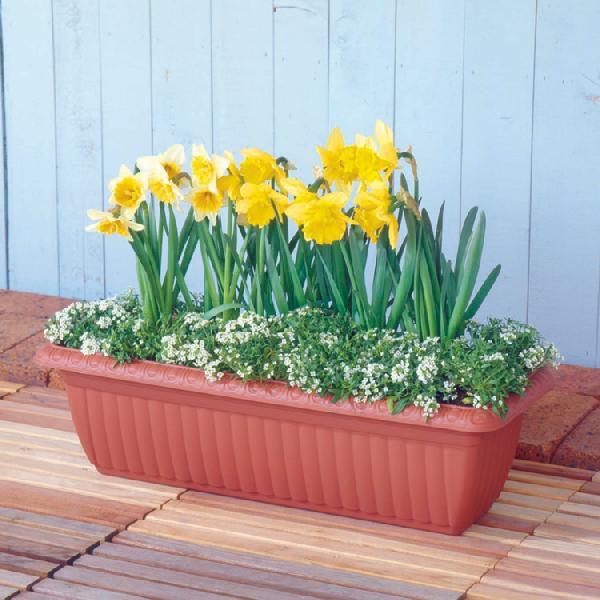 IRIS OHYAMA 植木鉢 プランター 大型 プラスチック 10個セット