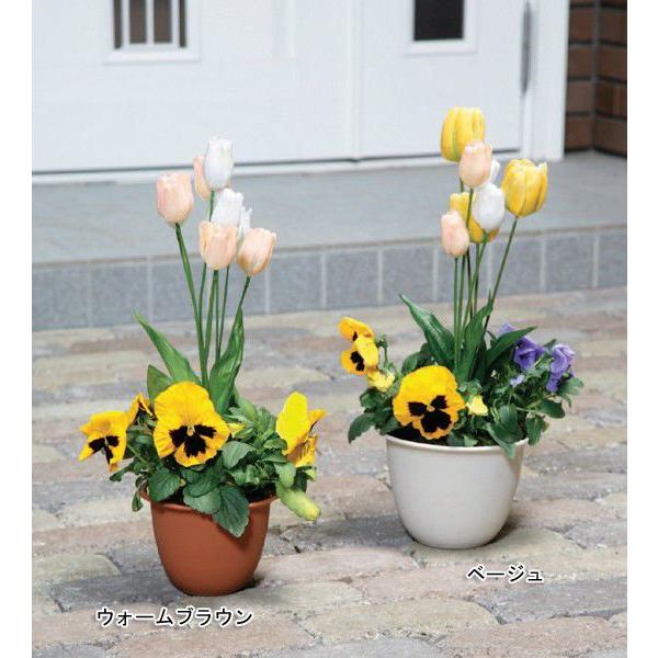 植木鉢 プランター 花 プラスチック 8号 アイリスオーヤマ アイリスプラザ Paypayモール店 通販 Paypayモール