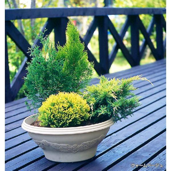 IRIS OHYAMA（アイリスオーヤマ） プランター おしゃれ プラスチック