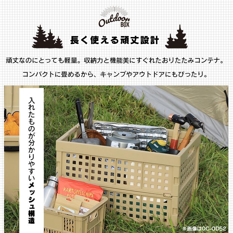 IRIS OHYAMA（アイリスオーヤマ） コンテナボックス 折りたたみ 小型