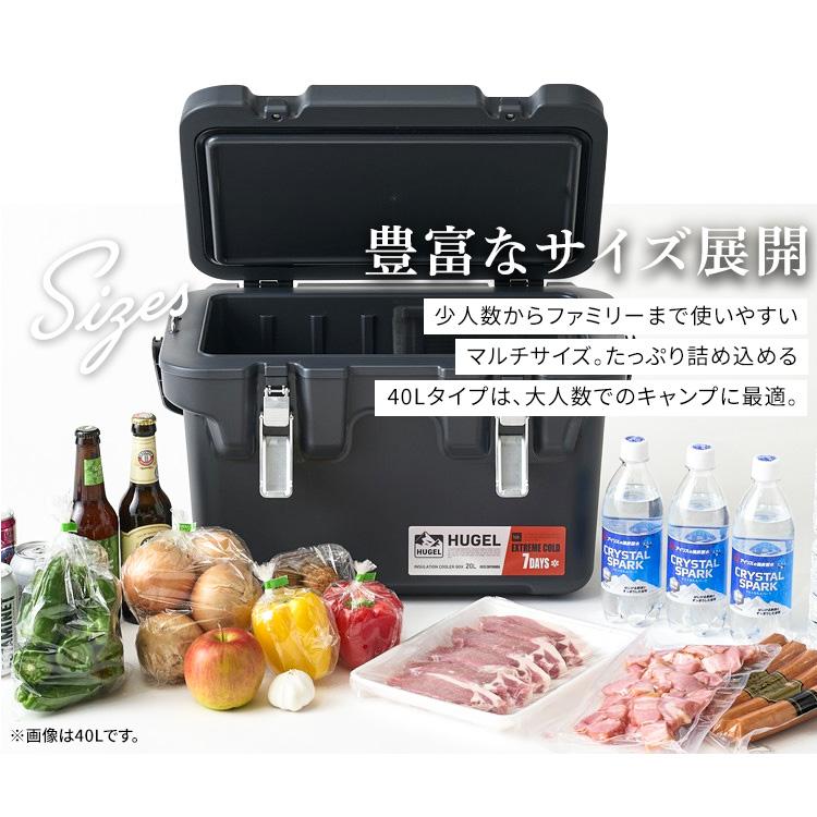 IRIS OHYAMA（アイリスオーヤマ） クーラーボックス 釣り 20L 真空断熱