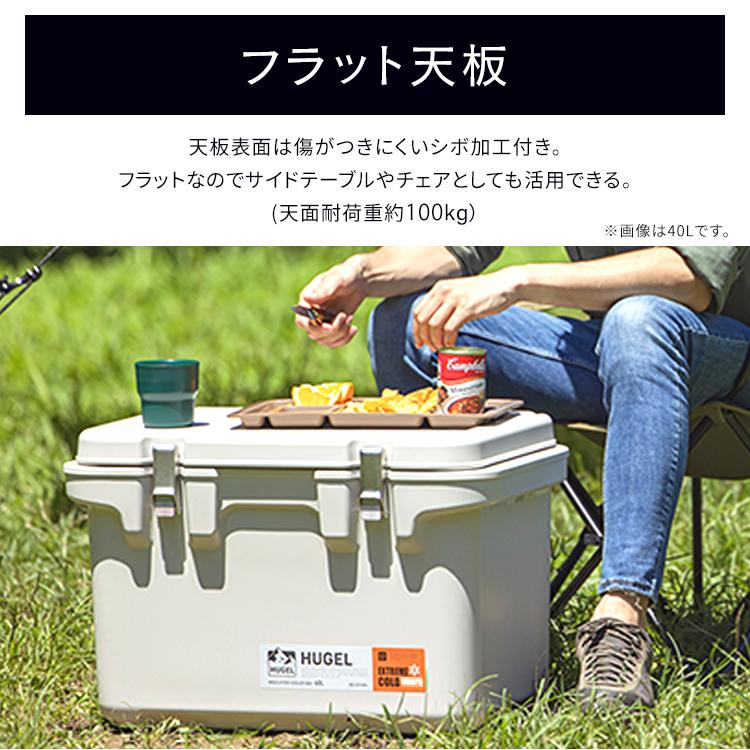 IRIS OHYAMA（アイリスオーヤマ） クーラーボックス 小型 20L ハード