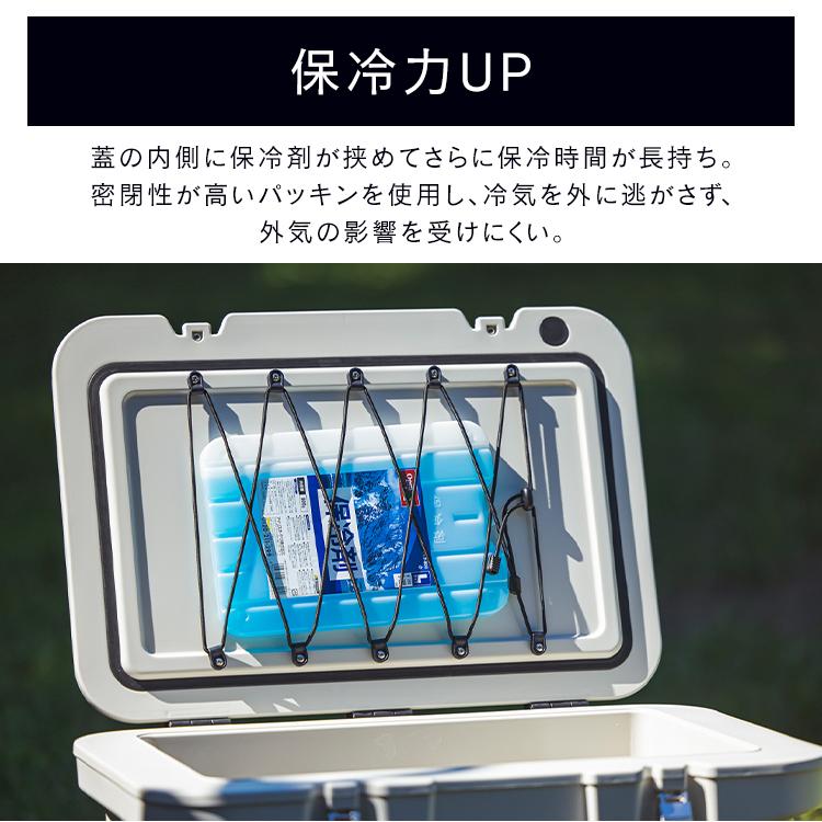 IRIS OHYAMA（アイリスオーヤマ） クーラーボックス 小型 20L ハード