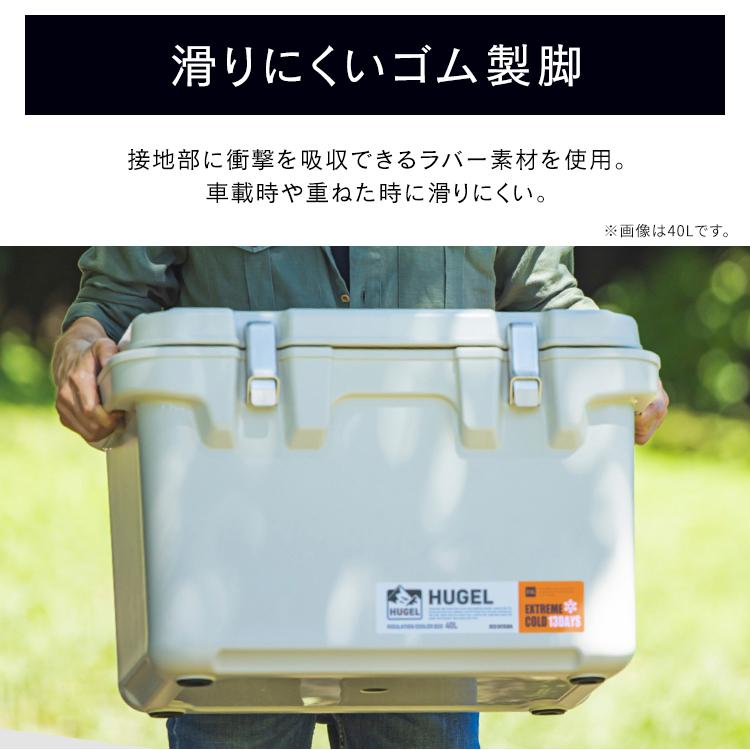 IRIS OHYAMA（アイリスオーヤマ） クーラーボックス 小型 20L ハード