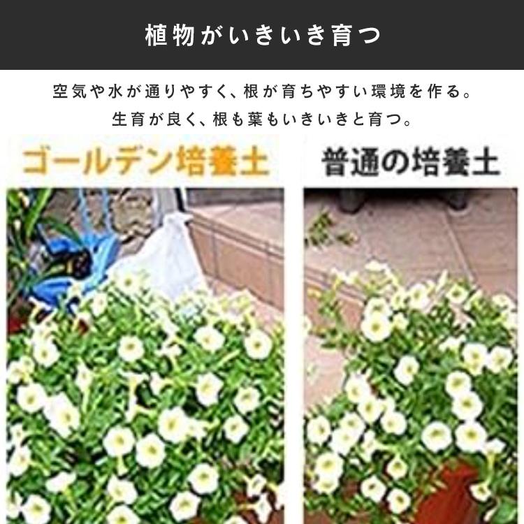 IRIS OHYAMA（アイリスオーヤマ） 培養土 5L 野菜培養土 花 土 土壌