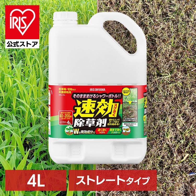 除草剤 4l 速効除草剤 除草 セール特価品 草 雑草 速効 手入れ 庭 Sjs 4l ストレートタイプ アイリスオーヤマ ガーデニング