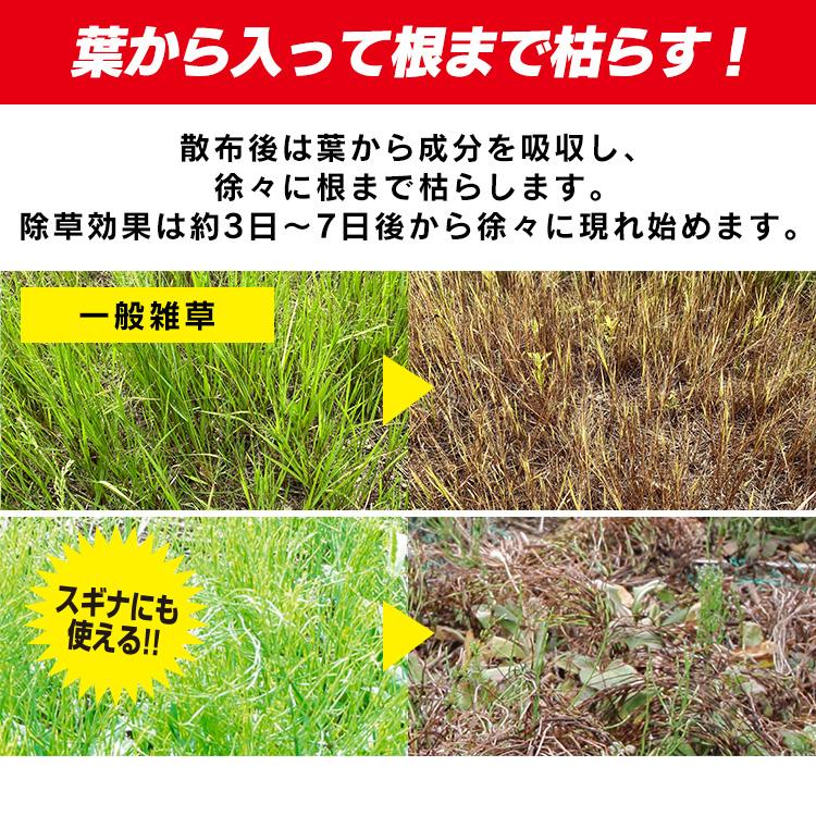 IRIS OHYAMA（アイリスオーヤマ） 除草剤 4L 速効 強力 液体 非農耕地