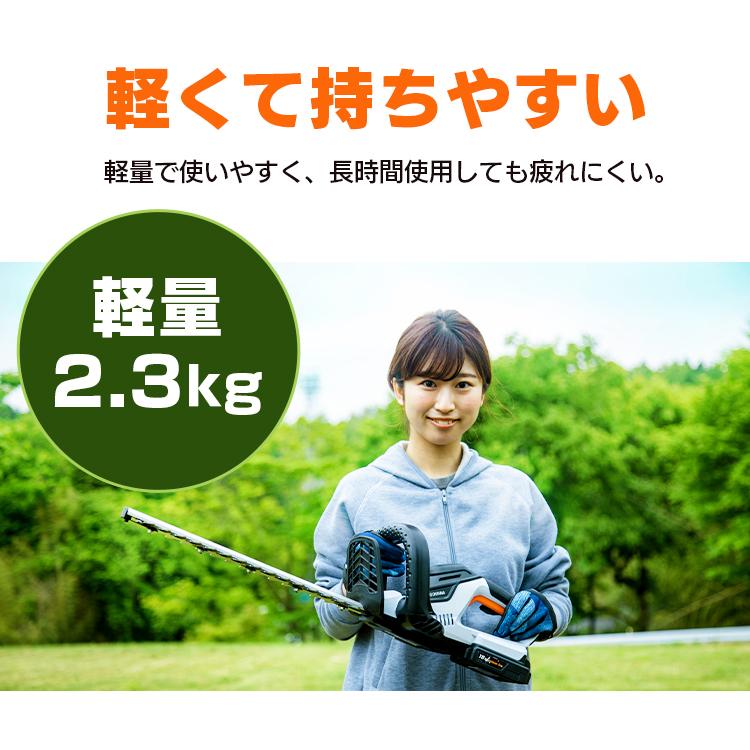IRIS OHYAMA（アイリスオーヤマ） 草刈り機 草刈機 充電式 庭木 芝刈り