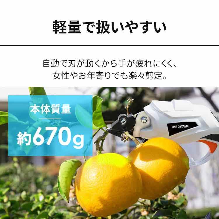 IRIS OHYAMA（アイリスオーヤマ） 草刈り機 草刈機 充電式 電動 高枝