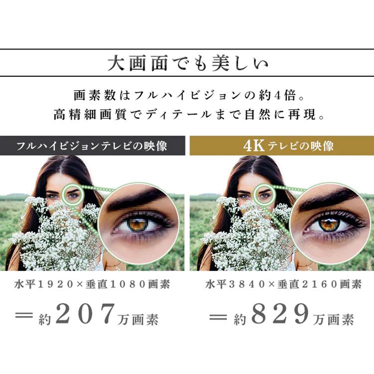 IRIS OHYAMA（アイリスオーヤマ） テレビ 55型 4K対応 液晶 テレビ 55