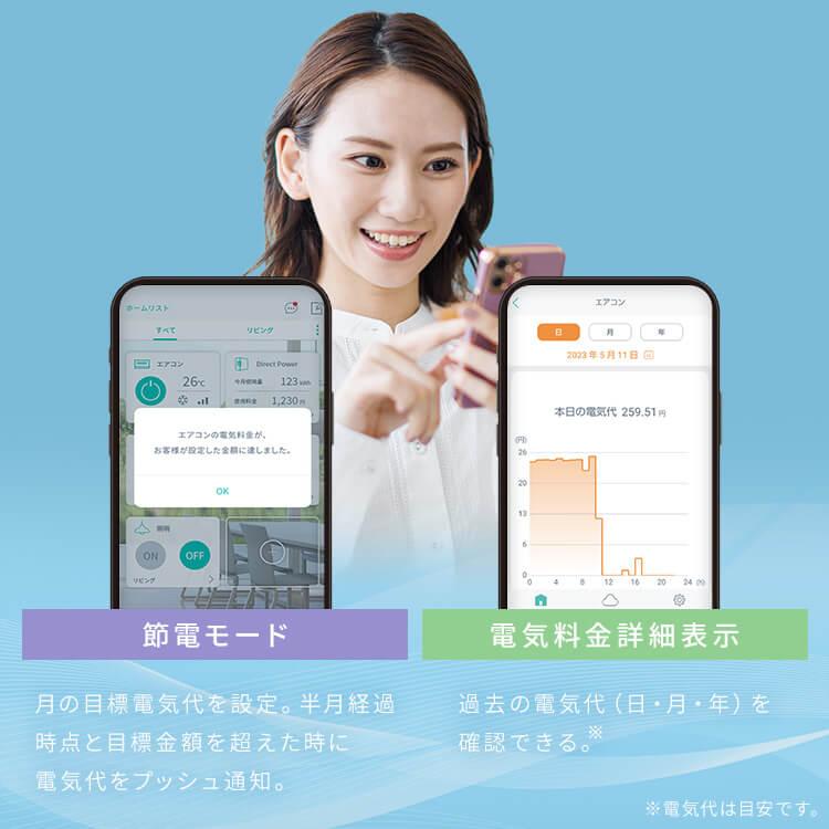 IRIS OHYAMA（アイリスオーヤマ） エアコン 工事無し 6畳 ルーム