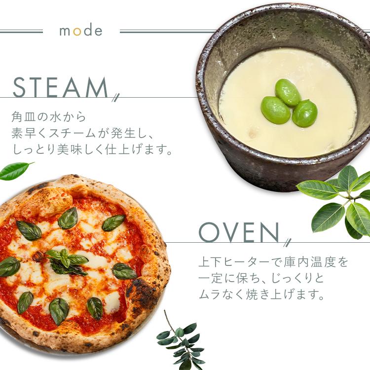 IRIS OHYAMA 電子レンジ オーブンレンジ フラット アイリス