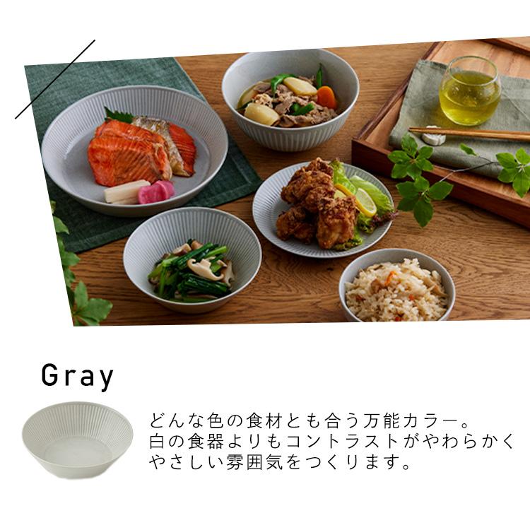 IRIS OHYAMA（アイリスオーヤマ） 食器 5点セット MNW-5S 美濃焼 磁器