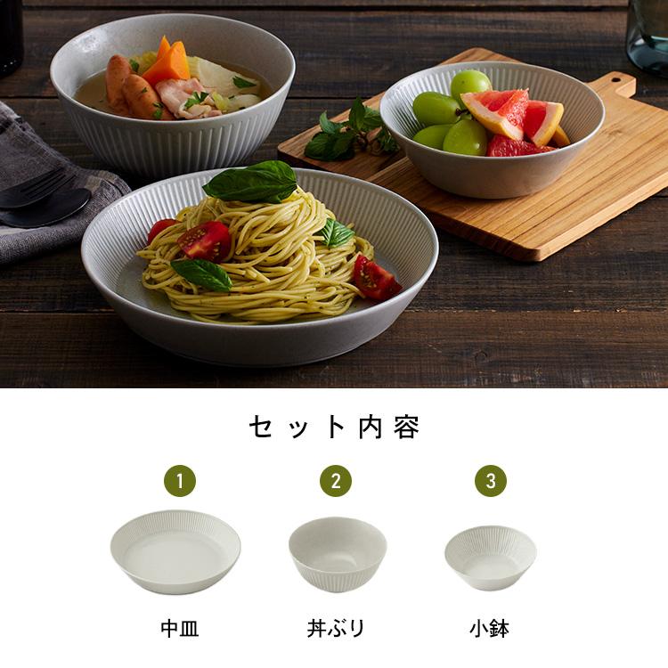 IRIS OHYAMA（アイリスオーヤマ） 食器 3点セット 皿 お皿 MNW-3S 美濃