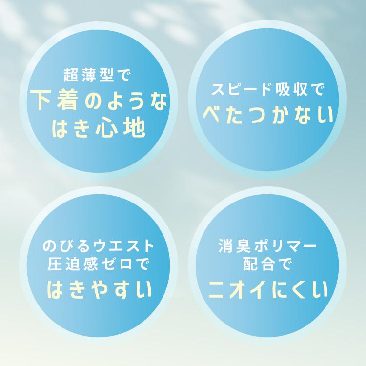 IRIS OHYAMA（アイリスオーヤマ） お試しセット 2枚 大人用紙おむつ 2