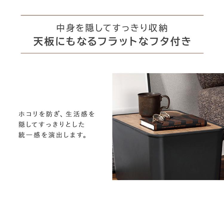 IRIS OHYAMA（アイリスオーヤマ） 収納ボックス Sサイズ+Mサイズ 2個