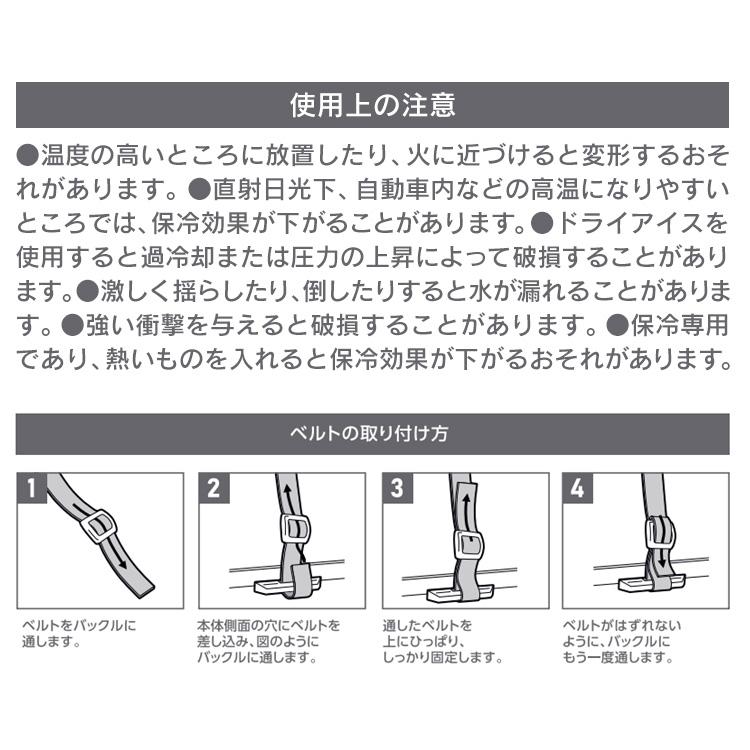IRIS OHYAMA（アイリスオーヤマ） クーラーボックス 小型 保冷バッグ