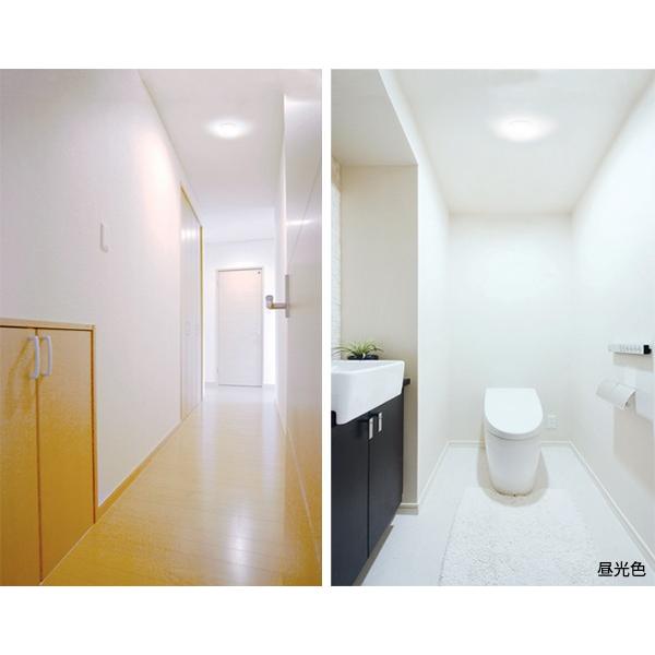 人気海外一番 シーリングライト Led Led 小型 照明 アイリスオーヤマ おしゃれ 500lm 550lm 廊下 電球色 昼光色 昼白色 電気 トイレ 物置 クローゼット