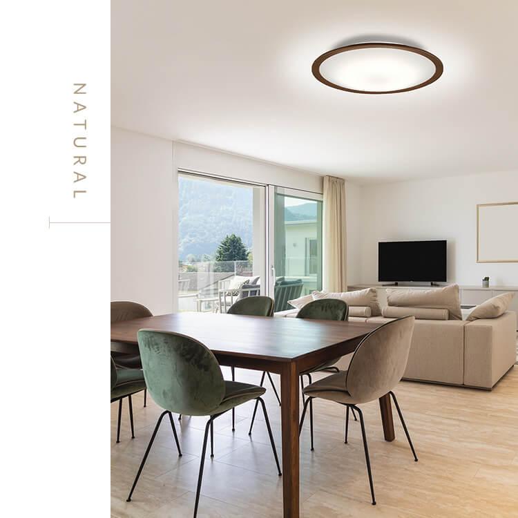 IRIS OHYAMA（アイリスオーヤマ） シーリングライト led 6畳 8畳