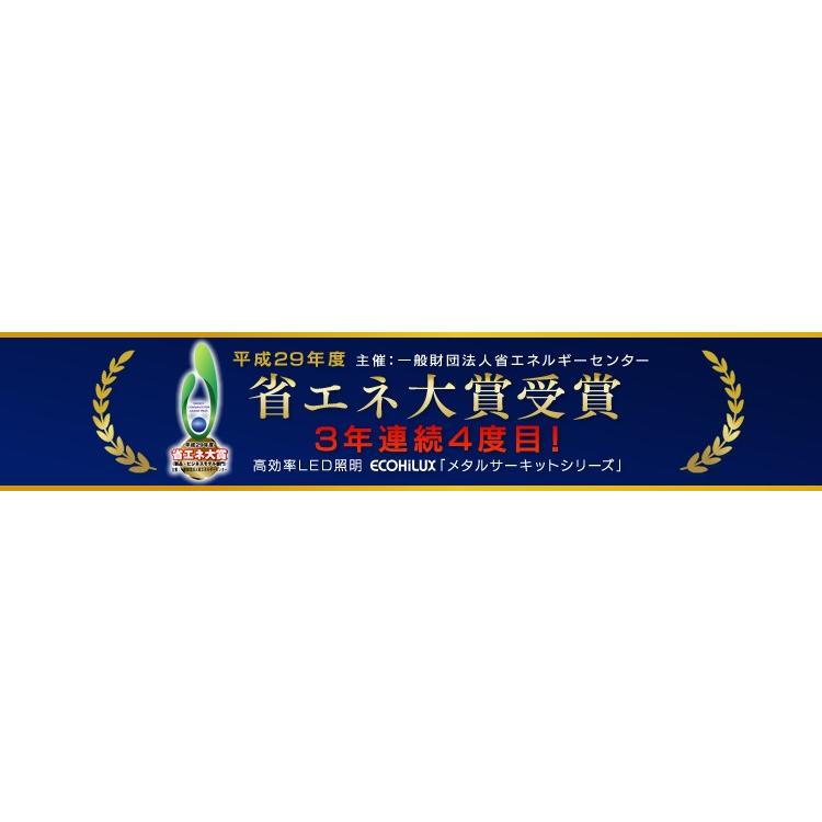 IRIS OHYAMA 丸形LEDランプ ペンダント用 32形+40形 昼光色・昼