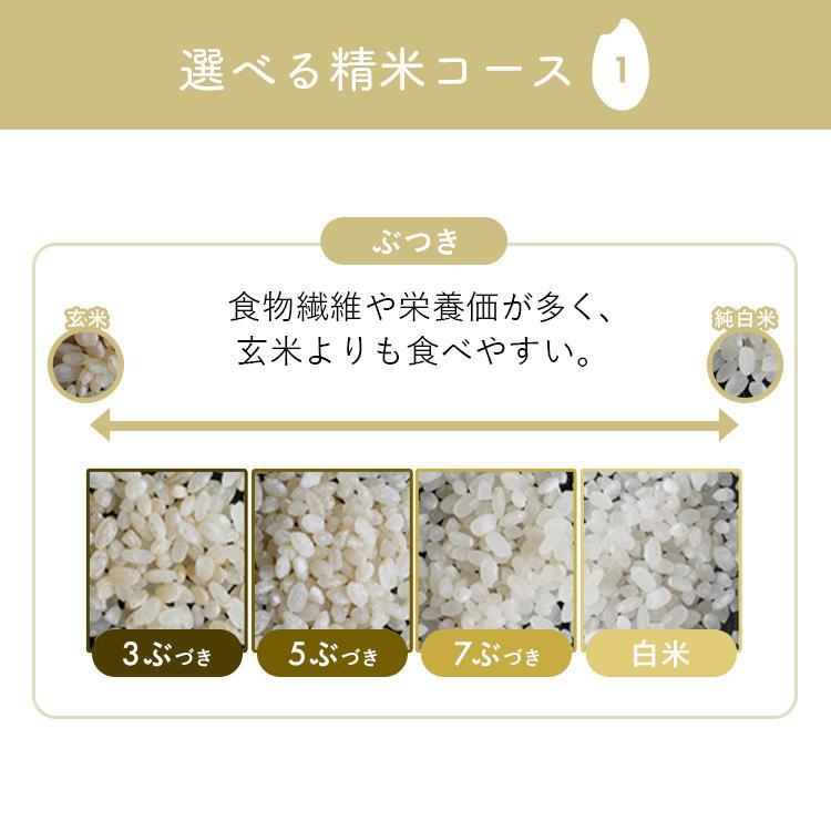 IRIS OHYAMA（アイリスオーヤマ） 精米機 家庭用 5合 かくはん式 5合