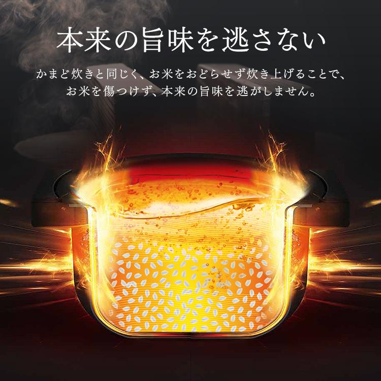 IRIS OHYAMA（アイリスオーヤマ） 炊飯器 5合炊き 一人暮らし用 炊飯器