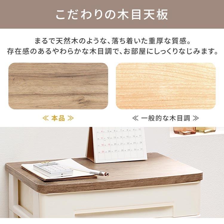 IRIS OHYAMA（アイリスオーヤマ） レターケース A4 引き出し 書類