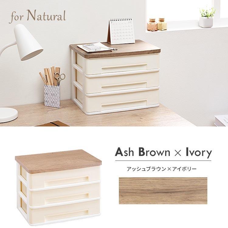 IRIS OHYAMA（アイリスオーヤマ） レターケース A4 引き出し 書類