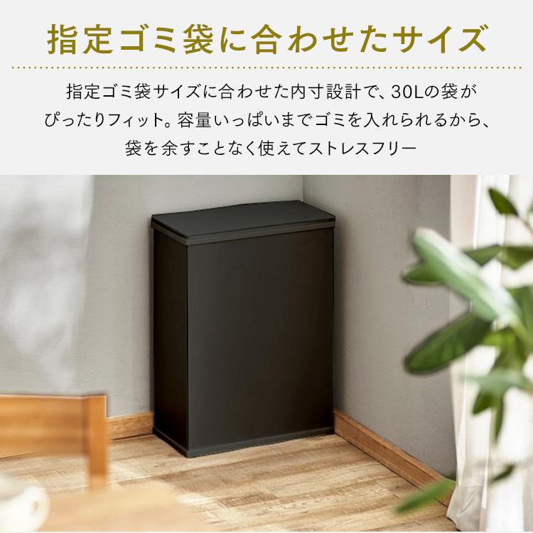 IRIS OHYAMA（アイリスオーヤマ） ゴミ箱 おしゃれ キッチン スリム