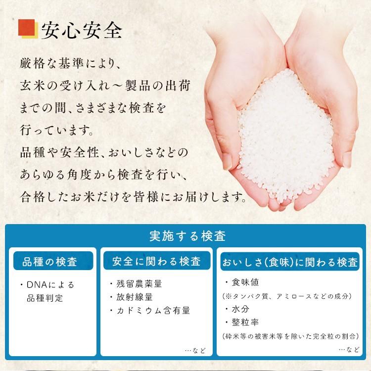 IRIS OHYAMA（アイリスオーヤマ） 餅 800g 切り餅 もち お餅 正月 切り