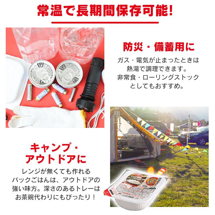 IRIS OHYAMA（アイリスオーヤマ） パックご飯 200g 40食 レトルトご飯