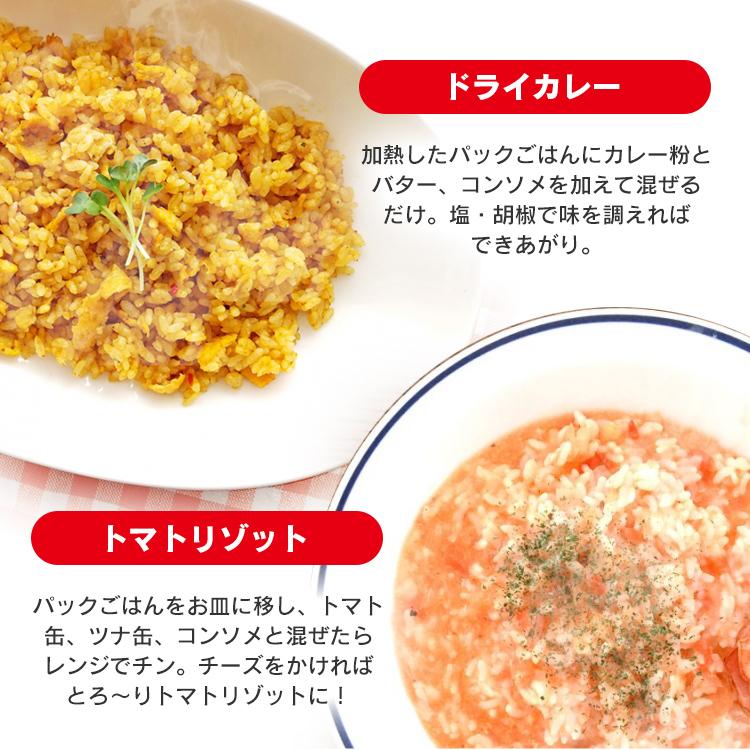 IRIS OHYAMA（アイリスオーヤマ） パックご飯 200g 3食 レトルトご飯