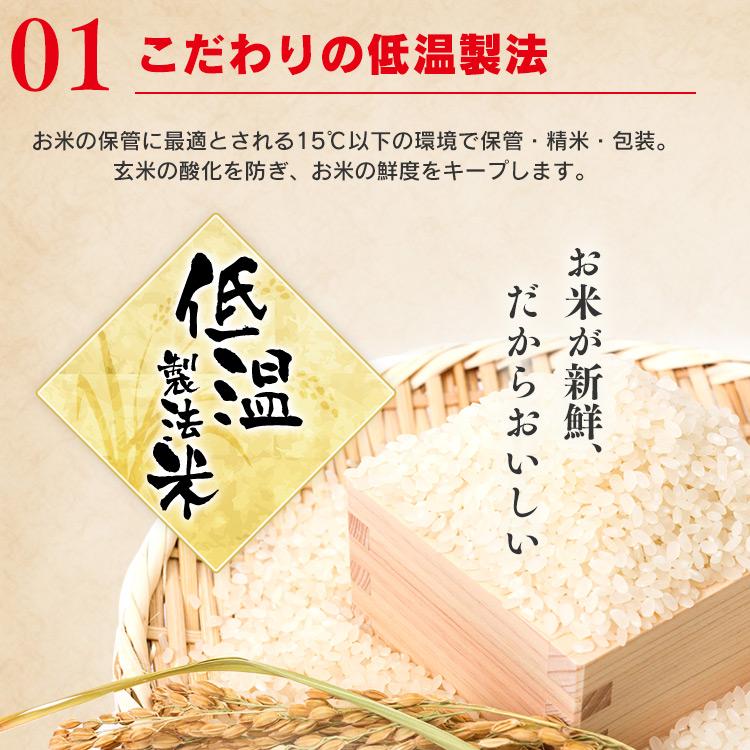 IRIS OHYAMA（アイリスオーヤマ） パックご飯 120g 低温製法米の